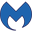 Download Malwarebytes for Teams