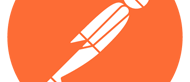 postman app icon