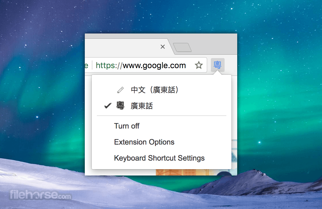 google home extension for mac