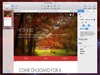 Sparkle Pro 4.5.7 Screenshot 5