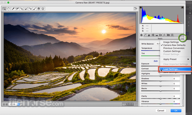 Adobe Camera Raw 16.2 Captura de Pantalla 3