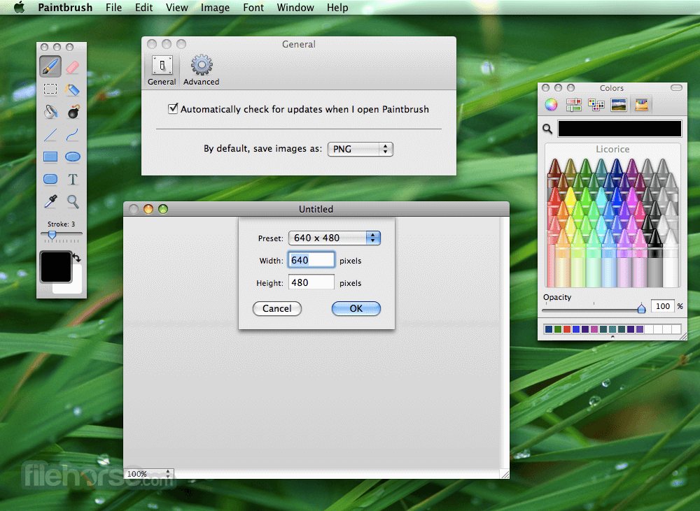 Paintbrush 2.6.0 Screenshot 3