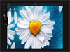 Pixelmator 2.1.4 Screenshot 3