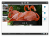 Cisdem Video Converter 7.3.0 Captura de Pantalla 4