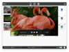 Cisdem Video Converter 7.13.0 Captura de Pantalla 4