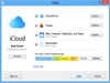 iCloud Control Panel 14.2.122 Screenshot 1