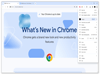 Google Chrome Portable 103.0.5060.114 (32-bit) Screenshot 2