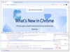 Google Chrome 114.0.5735.91 (64-bit) Captura de Pantalla 3