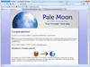 Pale Moon 33.0.2 (64-bit) Screenshot 1