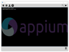 Appium 2.0 Screenshot 1