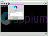 Appium 1.22.3-4 Screenshot 5