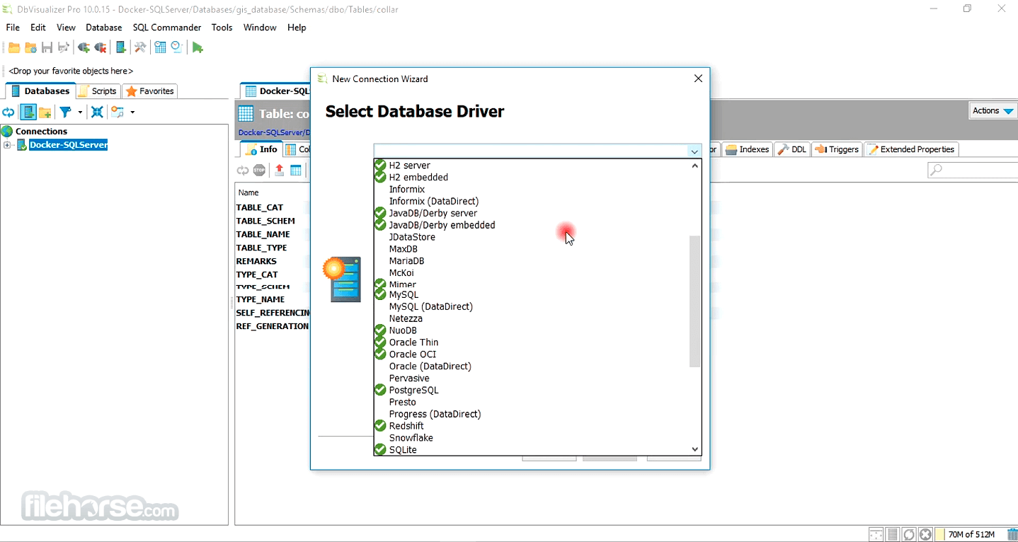 DbVisualizer 13.0.3 (64-bit) Screenshot 2