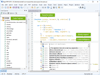 Rapid PHP Editor 2022 17.3 Screenshot 5