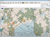 VASSAL Engine 3.6.18 Screenshot 3