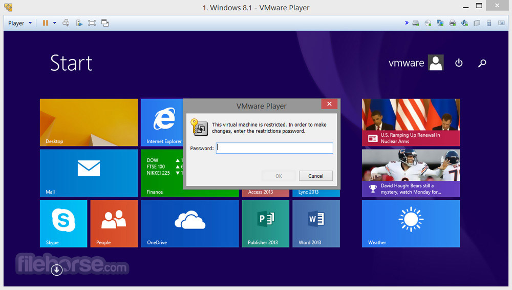 VMware Player 15.5.5 Build 16285975 Screenshot 4