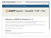 XAMPP 5.5.19 Screenshot 5