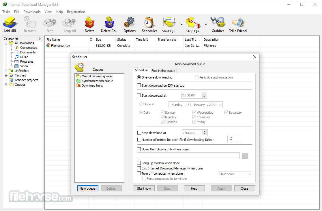 Internet Download Manager 6.40 Build 5 Captura de Pantalla 3