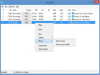 PicoTorrent 0.25.0 (64-bit) Captura de Pantalla 1