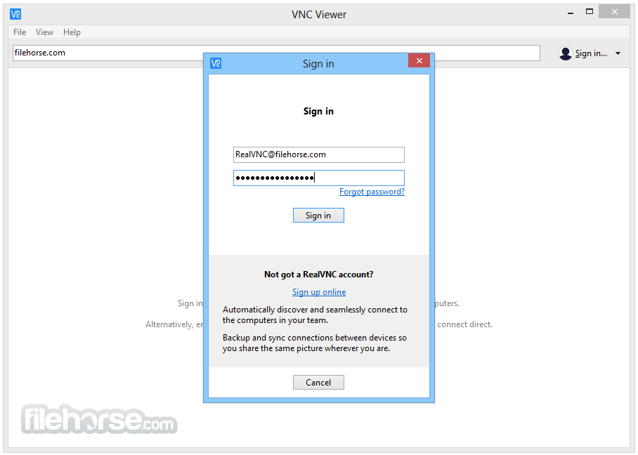 vnc server portable windows