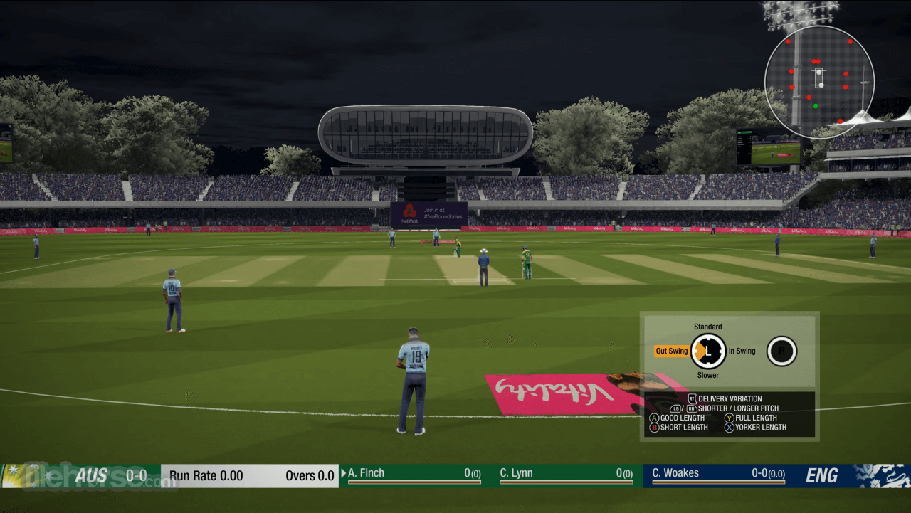 cricket 19 download pc