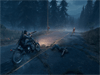 Days Gone Screenshot 4