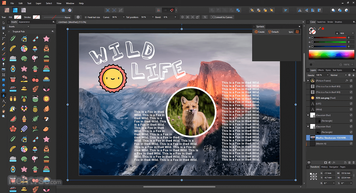 affinity publisher trial