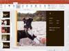 Microsoft Office 2016 Professional  Retail (64-bit) Captura de Pantalla 2