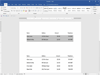 Microsoft Word 2019 Screenshot 5