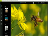 Adobe Photoshop Express 3.12.430 Screenshot 2