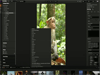 ON1 Photo RAW 2024.5 Captura de Pantalla 4