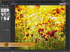 PhotoDirector 9.0.2504 Screenshot 2