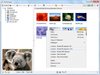 PhotoScape 3.4 Screenshot 2