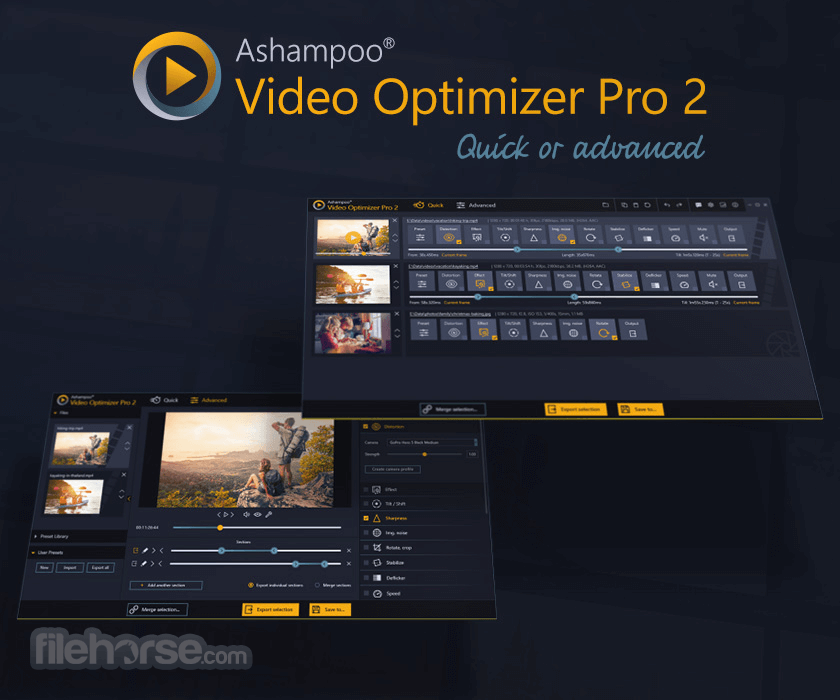 Ashampoo Video Optimizer Pro 2.0.1 Screenshot 1