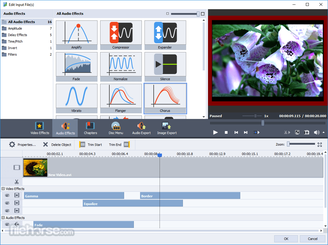 AVS Video Converter 13.0.2 Screenshot 2