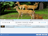 Tipard Video Enhancer 9.2.32 Captura de Pantalla 4